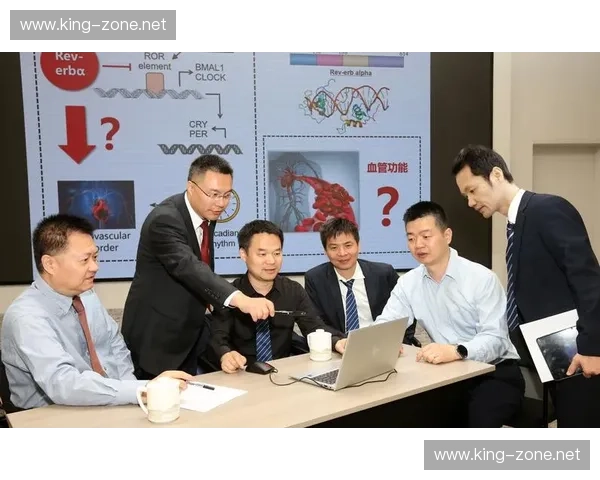 以毒龙为核心构建多塔战术体系与团队协同发展深化策略探索研究论